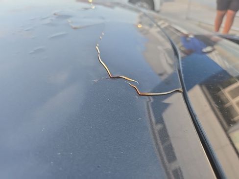 Used 2019 Kia Optima LX image 9