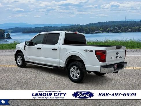Used 2025 Ford F150 XL w/ Equipment Group 104A Hybrid AWD/4WD image 5