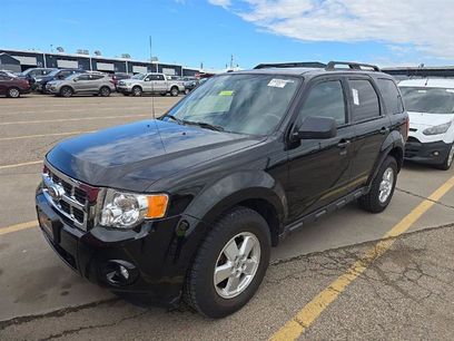 Used 2010 Ford Escape XLT
