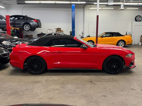 Used 2020 Ford Mustang Premium RWD image 8