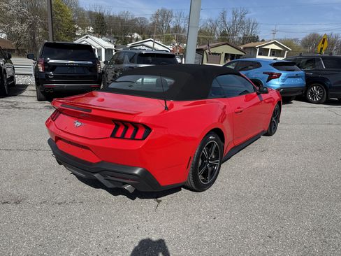 Used 2025 Ford Mustang Premium RWD image 3