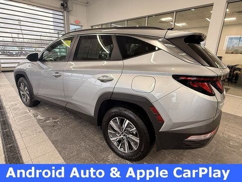 Used 2024 Hyundai Tucson Blue image 6