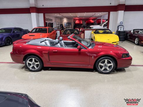 Used 2003 Ford Mustang SVT Cobra Convertible RWD image 6