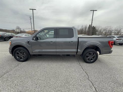 Certified 2023 Ford F150 XLT w/ Equipment Group 302A High image 2