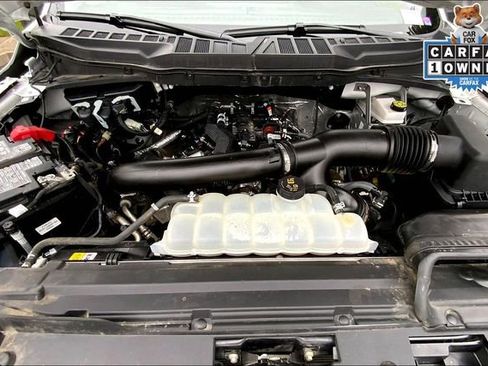 Used 2025 Ford F150 XLT w/ Equipment Group 301A Standard image 9