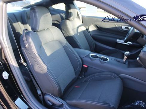 New 2026 Ford Mustang Coupe w/ Mustang Nite Pony Package image 7