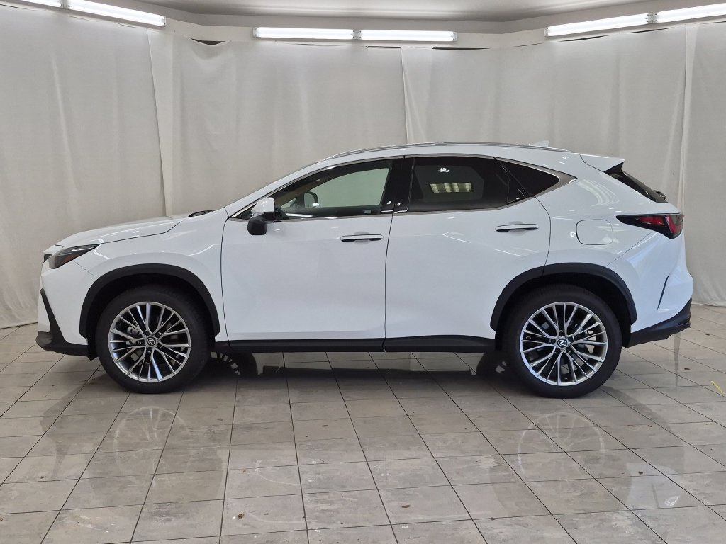 Certified 2026 Lexus NX 350 AWD w/ Accessory Package (2T) image 5