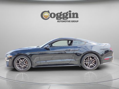 Used 2019 Ford Mustang Premium w/ Ford Safe & Smart Package image 2