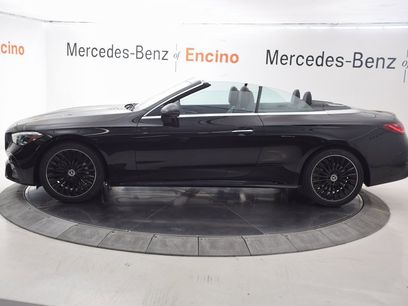New 2025 Mercedes-Benz CLE 450 4MATIC Cabriolet