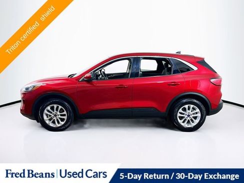 Used 2021 Ford Escape SE w/ Convenience Package image 4