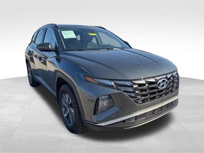 Used 2024 Hyundai Tucson Blue