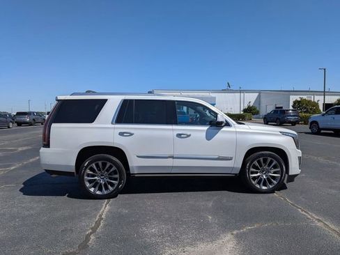 Used 2020 Cadillac Escalade Platinum image 2