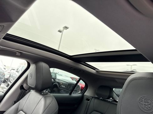 Used 2020 Alfa Romeo Stelvio Sport w/ Cold Weather Package image 14