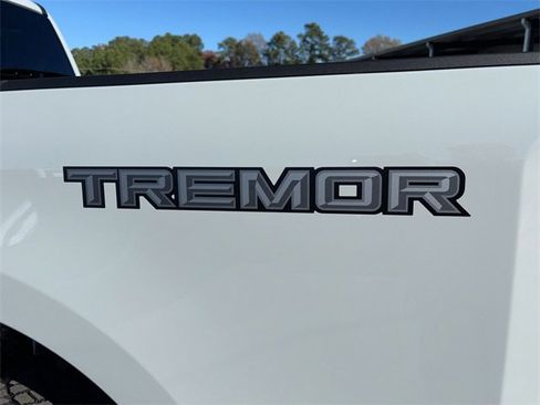 New 2026 Ford F250 Platinum w/ Tremor Off-Road Package image 21
