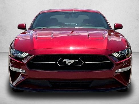 Used 2019 Ford Mustang Premium w/ Pony Package image 3