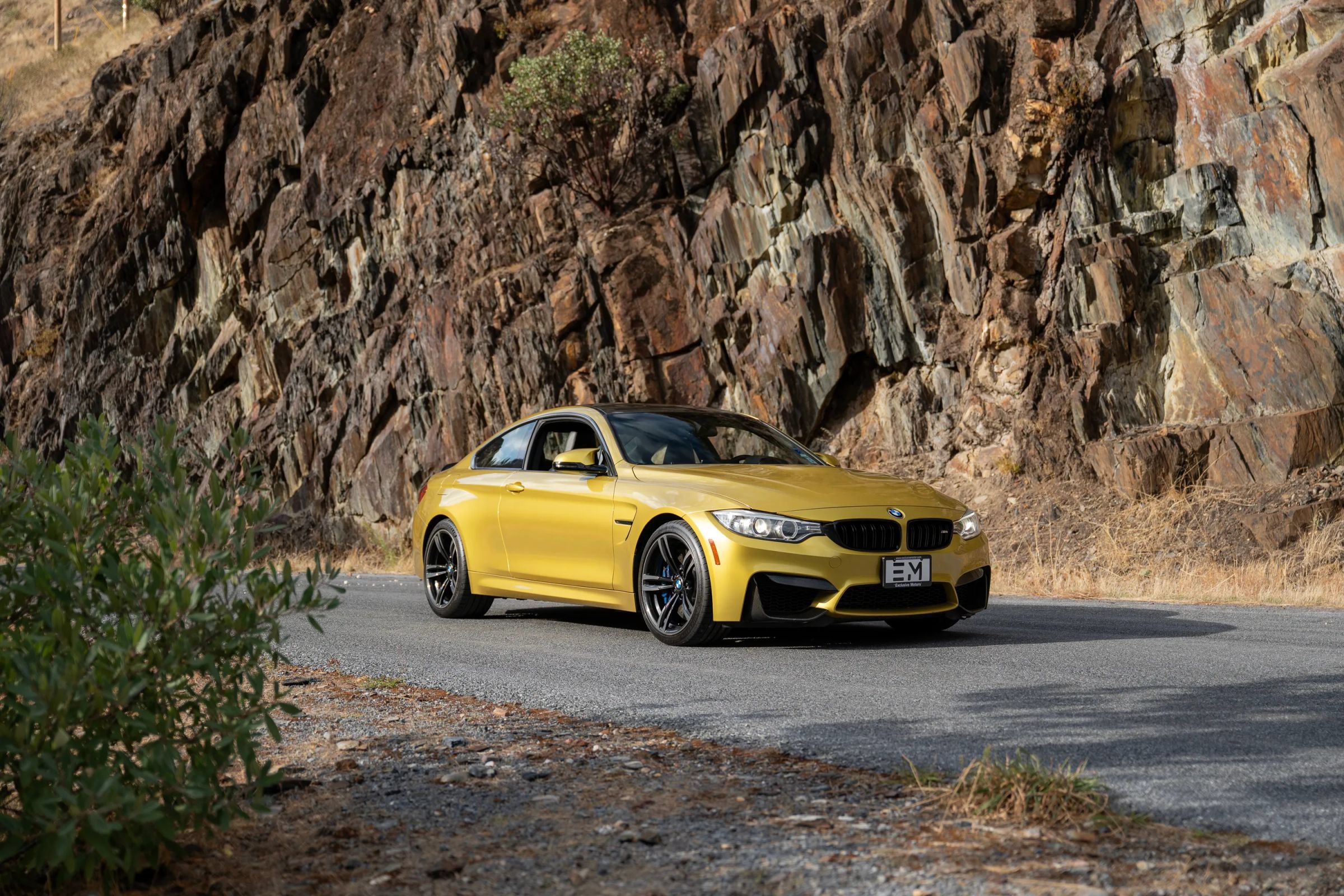 Used 2016 BMW M4 Coupe RWD image 16