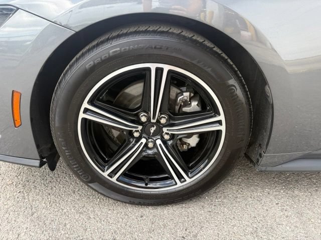 Used 2025 Ford Mustang Coupe RWD image 13