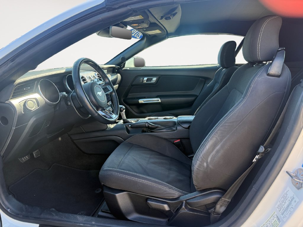Used 2019 Ford Mustang Convertible w/ Ecoboost Performance Package RWD image 9