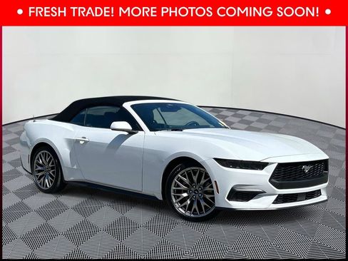 Used 2025 Ford Mustang Premium RWD image 1