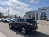 Used 2022 Ford Escape SE image 6
