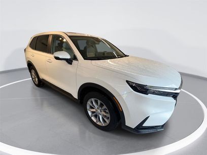 Used 2025 Honda CR-V EX