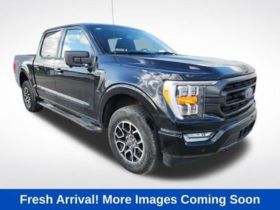 Used 2023 Ford F150 XLT w/ Equipment Group 302A High