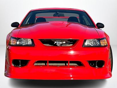 Used 2000 Ford Mustang Cobra
