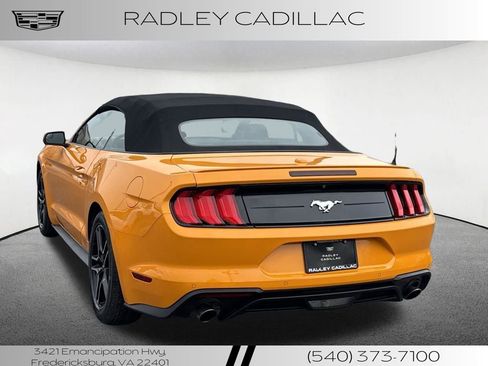 Used 2019 Ford Mustang Premium image 16
