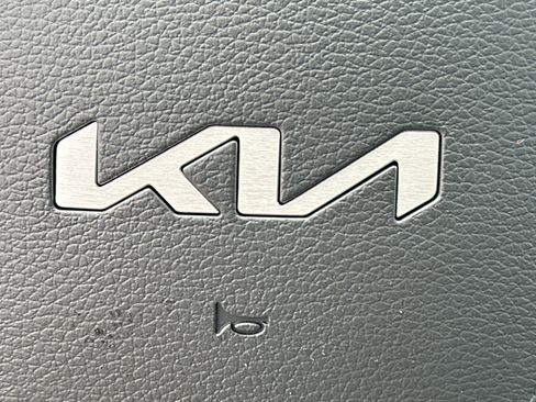 New 2025 Kia Telluride SX Prestige X-Line image 30