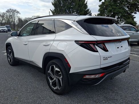 Certified 2023 Hyundai Tucson Limited image 7