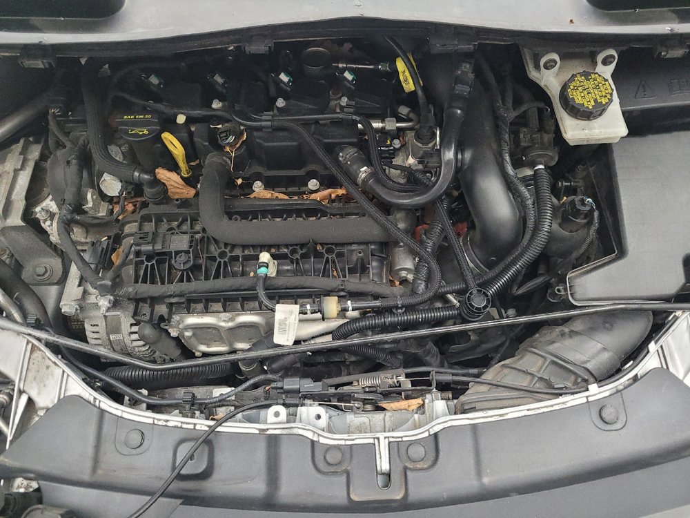 Used 2019 Ford Escape SEL AWD/4WD image 30
