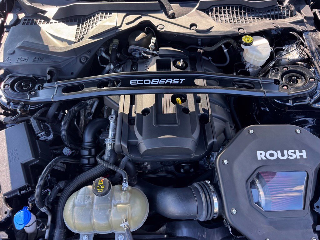 Used 2022 Ford Mustang Coupe w/ Equipment Group 101A RWD image 33
