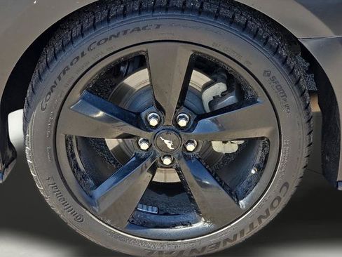 Used 2023 Ford Mustang Premium w/ Equipment Group 201A RWD image 17