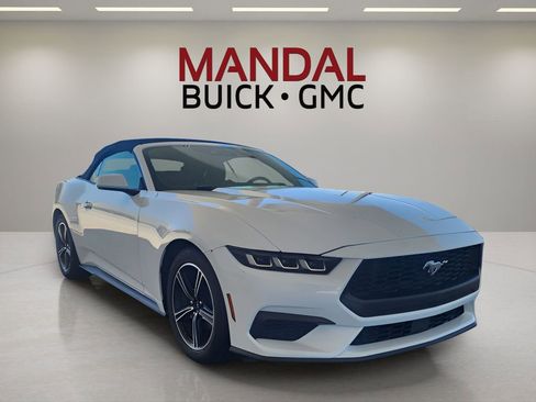 Used 2024 Ford Mustang Premium image 4