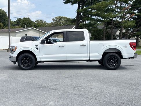 Used 2023 Ford F150 XLT w/ Equipment Group 302A High AWD/4WD image 5