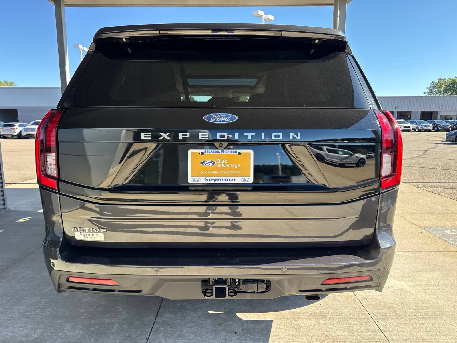 Used 2025 Ford Expedition Active AWD/4WD image 6