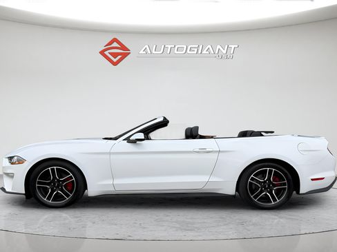 Used 2019 Ford Mustang Premium RWD image 6