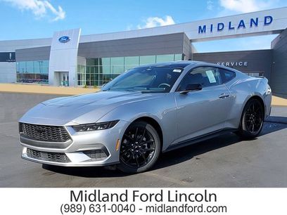 New 2026 Ford Mustang Coupe w/ Mustang Nite Pony Package
