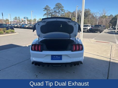 Used 2020 Ford Mustang GT w/ Equipment Group 301A image 7