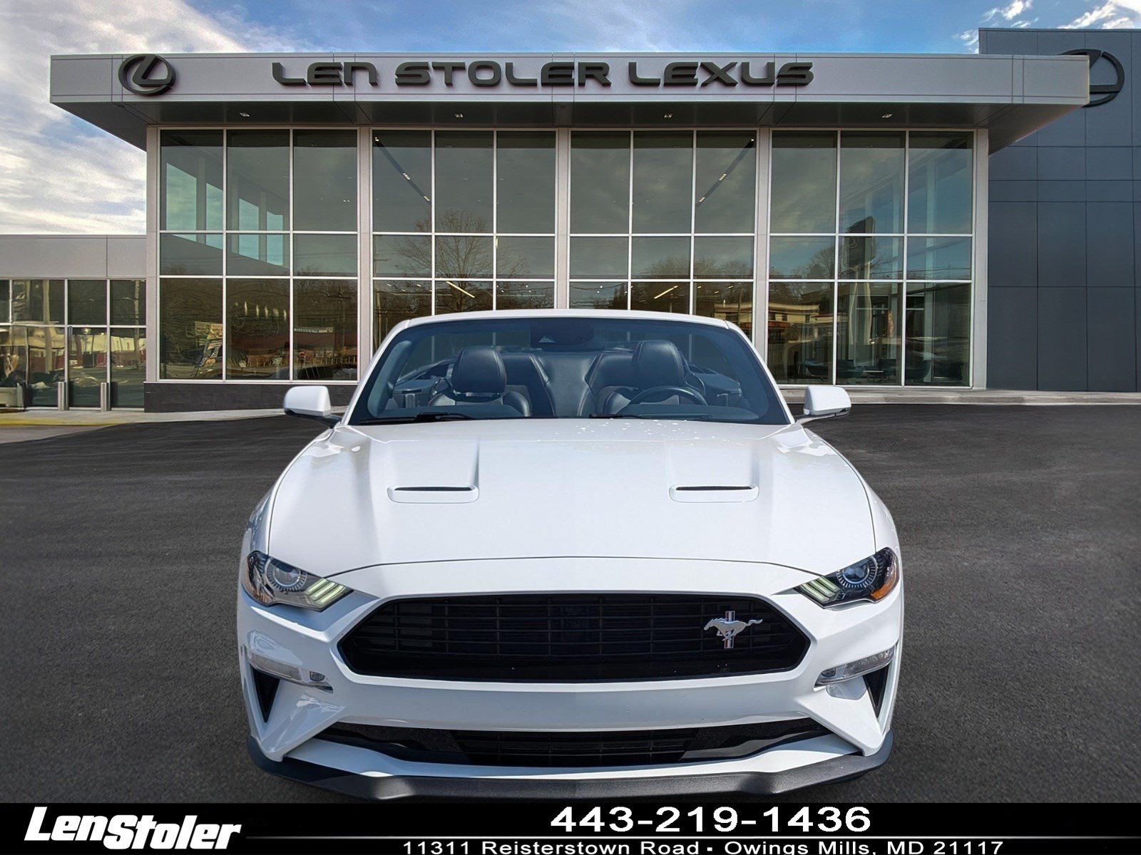 Used 2019 Ford Mustang GT Premium w/ Equipment Group 401A RWD image 8
