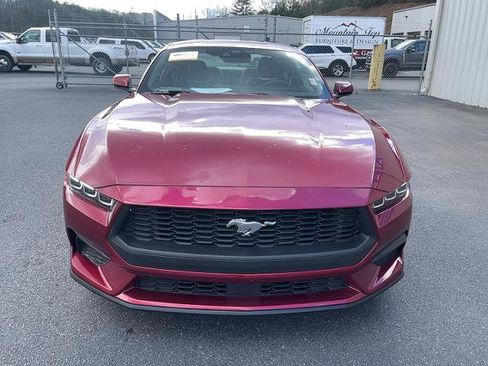 Certified 2025 Ford Mustang Premium image 3