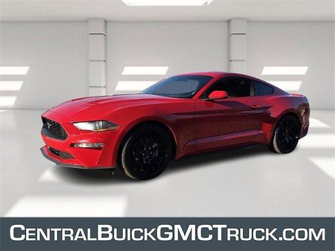 Used 2019 Ford Mustang Coupe w/ Equipment Group 101A image 1