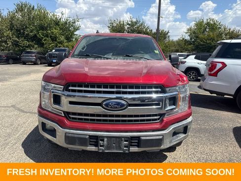 Used 2020 Ford F150 XLT w/ Equipment Group 302A Luxury RWD image 7
