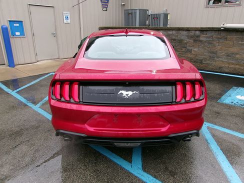 Used 2020 Ford Mustang Coupe RWD image 5