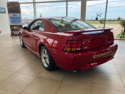 Used 2001 Ford Mustang Cobra RWD image 3
