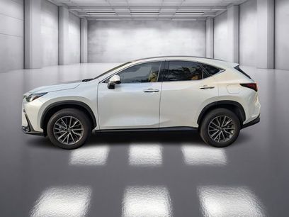 Used 2025 Lexus NX 350 AWD w/ Accessory Package (Z2)