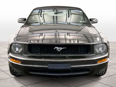 Used 2009 Ford Mustang Premium image 4