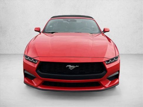 Used 2024 Ford Mustang Premium RWD image 2