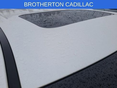 Used 2016 Cadillac Escalade Premium image 4