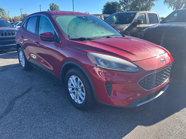 Used 2020 Ford Escape SE AWD/4WD image 5